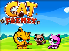 Nintendo DSiWare,Cat Frenzy
