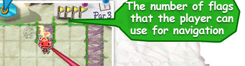 The number of flags that the player can use for navigation