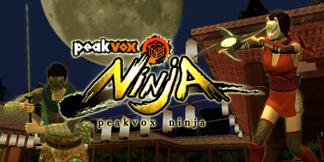 PlayStation®Home,peakvox ninja(ピークボックスニンジャ)