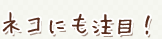ネコにも注目!