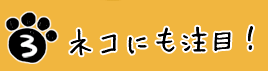 ネコにも注目!